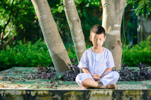 MÉDITATION : Les 2 derniers obstacles au Calme Mental