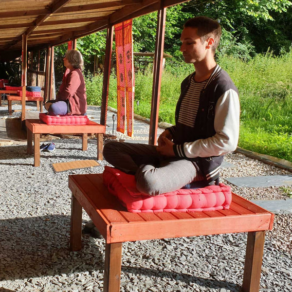 MEDITATION 26 Oct | Atelier 1h30 | Clément au Petit Nalanda