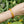 Boutique TIBET | Petit Nalanda BRACELET 17-18 cm | Extensible (Tronc de l'Arbuste) Bracelet Bois Sauvage