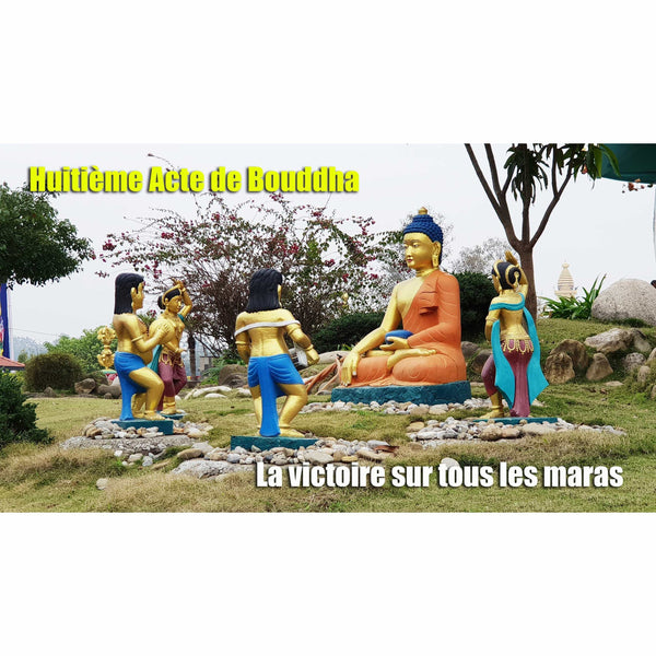 Boutique DHARMA | Petit Nalanda MP4 Download Video Mp4 Gratuit | Journée de l'arrivée du Bouddha Shakyamouni