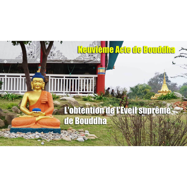 Boutique DHARMA | Petit Nalanda MP4 Download Video Mp4 Gratuit | Journée de l'arrivée du Bouddha Shakyamouni