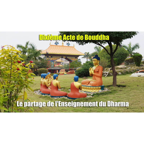 Boutique DHARMA | Petit Nalanda MP4 Download Video Mp4 Gratuit | Journée de l'arrivée du Bouddha Shakyamouni