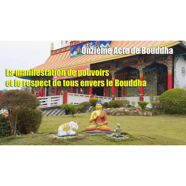 Boutique DHARMA | Petit Nalanda MP4 Download Video Mp4 Gratuit | Journée de l'arrivée du Bouddha Shakyamouni