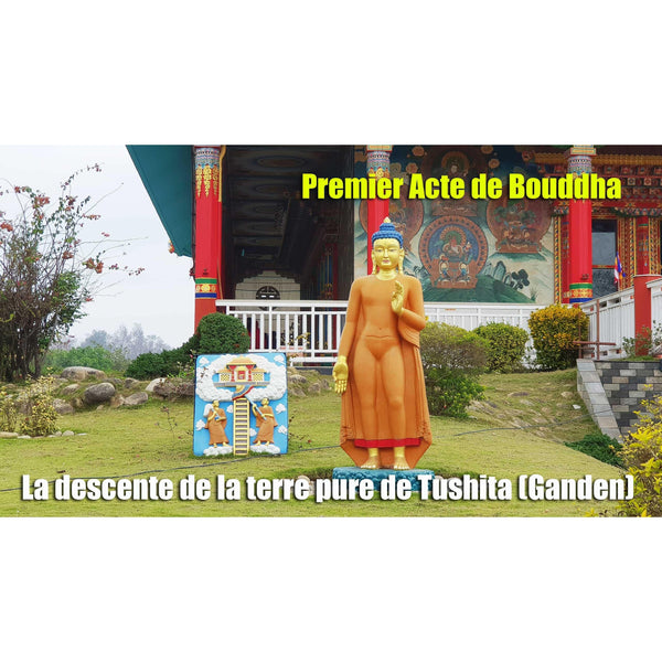 Boutique DHARMA | Petit Nalanda MP4 Download Video Mp4 Gratuit | Journée de l'arrivée du Bouddha Shakyamouni