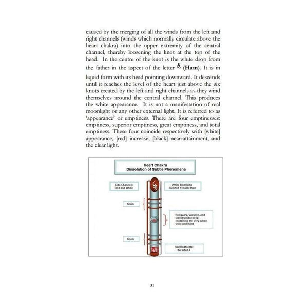 Boutique DHARMA | Petit Nalanda LIVRE Transcending Death